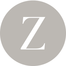 Zorya logo